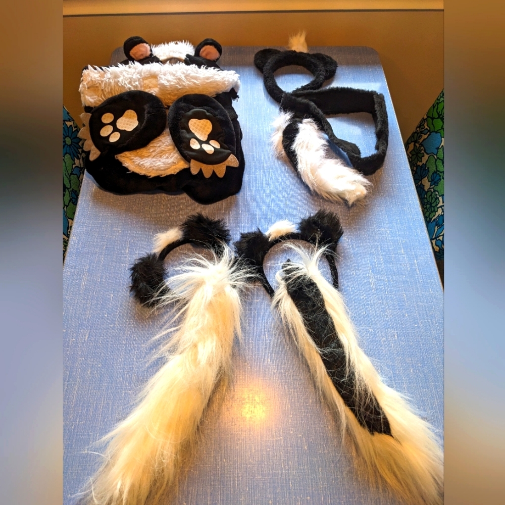 Skunk Family costume (baby + 3 others)